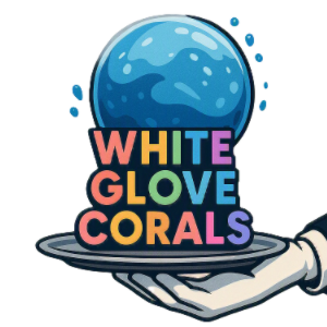 White Glove Corals